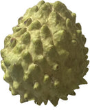 Close-up of Green Sugar Apple, Sweetsop, Annona Tree