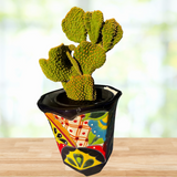 Funny Bunny Prickly Peart plant in a colorful pot on a wooden surface with a blurred background