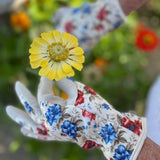 Garden Gift Box - Gloves and Snips