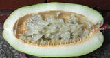 Halved Giant Granadilla Plant fruit with a fibrous interior on a textured surface