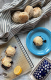 Gluten-Free Sourdough & Baking Flour | gfJules