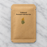 Goldenrod (Solidago altissima) Seeds – Native Pollinator Perennial – Cold Stratification Recommended