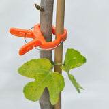 Orange plant support clip holding a branch with green leaves on a white background