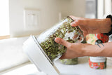 Hand holding a jar filled with sprouts on a kitchen counter.