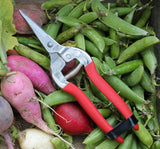 Compact Pruning Shears, Garden of Paradise