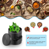 Black spice grinder with green leaves on a white background, surrounded by various spices and herbs.