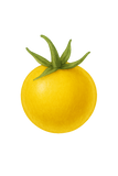Honey Drop Tomato Seeds – Open-Pollinated Yellow Cherry Tomato