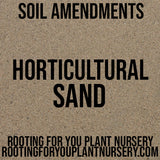 Text on a brown background advertising horticultural sand from Rooting for You Plant Nursery.