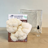 Lion's Mane Mushroom Growing Kit - 5 LBS Spray and Grow