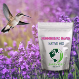 Hummingbird Haven Native Mix package with a hummingbird and lavender flowers in the background
