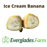 Ice Cream Banana cut in half with 'Everglades Farm' logo below on a white background