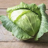 Organic Heirloom Copenhagen Early Market Cabbageon a wooden surface