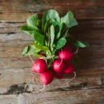 Heirloom Organic Early Scarlet Globe Radish on a wooden surface
