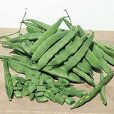 Heirloom Organic Roma 2 Bush Bean on a wooden surface