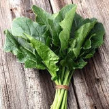 Bunch of freshHeirloom Organic Giant Noble Spinach leaves tied with a rubber band on a wooden surface