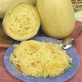 Organic Heirloom Spaghetti Squash  on a plate, surrounded by squash and a spoon.