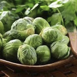 Heirloom Organic Catskill Brussel Sprouts in a wooden bowl on a wooden surface