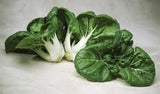Heirloom Organic Pak Choy Toy Choy (Bok Choi/Pak Choi)