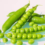 Organic Oregon Sugar Pod Peas in pods on a light blue background