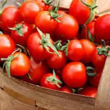 Basket ofHeirloom Organic Sweetie Tomatoes on a wooden surface