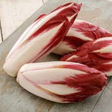 Two Heirloom Organic Early Treviso Radicchio  on a wooden surface