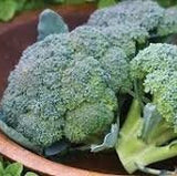 Heirloom Organic Broccoli De Ciccoin a wooden bowl with greenery in the background