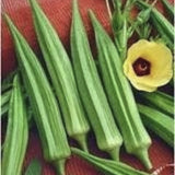 Organic Heirloom Emerald Okra on a red background with a yellow flower.