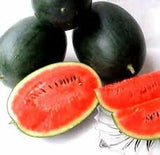 Heirloom Organic Black Diamond Watermelo with a slice cut open on a white background