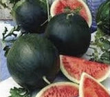 Heirloom Organic Black Diamond Watermelo with a few cut open to reveal red flesh on a blurred background