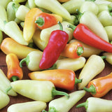Assorted Heirloom Organic Santa Fe Hot Peppers including red, orange, and green on a wooden surface