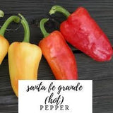 Three Heirloom Organic Santa Fe Hot Peppers on a dark surface with text indicating 'santa fe grande hot pepper'.