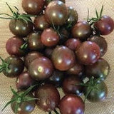 Cluster of Heirloom Organic Chocolate Cherry Tomato on a textured surface