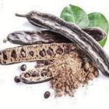 Rare Organic Carob Tree  (Locust Bean Tree/ St. John's Bread Tree) seeds on a white background