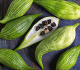 Rare Organic Heirloom Caigua with one cut open to reveal seeds on a dark surface