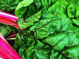 Close-up of Organic Heirloom Ruby Red Swiss Chard