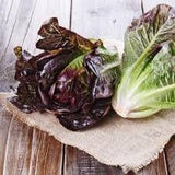 Organic Heirloom Prizehead Lettuce on a wooden surface with a burlap cloth
