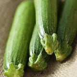 Three Organic Heirloom Fordhook Zucchini on a wooden surface