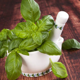 Organic Heirloom Genovese Basil in a white mortar and pestle on a wooden surface