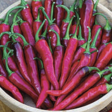 Bowl filled with Organic Heirloom Cayenne Long Slim Pepper on a wooden surface
