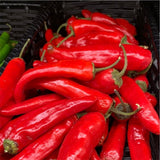 Basket filled with red chili peppers with green stems.