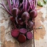 Organic Heirloom Tall Top Early Wonder Beet