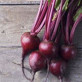 Bunch of Organic Heirloom Tall Top Early Wonder Beet on a wooden surface