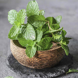 Bowl of fresh green Organic Heirloom Spearmint leaves on a gray surface with 'netmeds.com' branding.