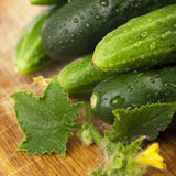 Organic Heirloom Poinsett 76 Cucumberwith water droplets on a wooden surface