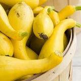 Organic Heirloom Early Summer Crookneck Squash in a wooden basket with a white background