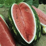 Heirloom Organic Congo Watermelon on a wooden surface with green leaves.