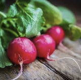 Heirloom Organic Early Scarlet Globe Radish on a wooden surface