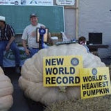 Organic 's Atlantic GIANT Pumpkin Dil with a sign declaring a new world record for the world's heaviest pumpkin, with people around it.