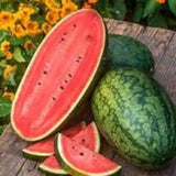 Heirloom Organic Georgia Rattlesnake Watermelon with slices on a wooden surface with flowers in the background