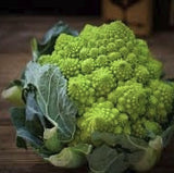 Rare Heirloom Organic Romanesco Italia Broccoli on a wooden surface